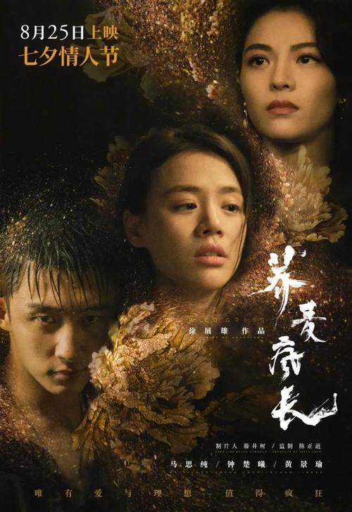 奥塔哥大学电子工程学位证书